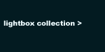 Lightbox Collection