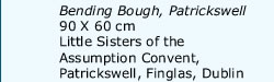 Bending Bough, Patrickswell, 90X60 cm, Little Sisters of the Assumption Convent, Patrickswell, Finglas, Dublin